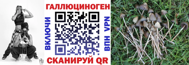 Псилоцибиновые грибы прущие грибы  купить наркоту  Анива 